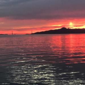 Meet your Posher, D alexi